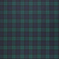Karostoff: BLACKWATCH FLANNEL TWILIGHT - FRL5057/01 von RALPH LAUREN bei ARTE FRESCA