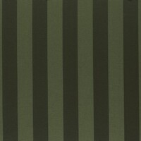 Ansicht des Stoffes DALTON, Farbton GREEN (in sich gemusterter Stoff mit Blockstreifen)