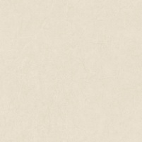 Ansicht franz. Vliestapete DELBERT, Uni-Farbton TAUPE, bei ARTE FRESCA