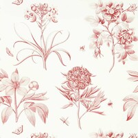 florale Tapete: ETCHINGS & ROSES, Farbe AMANPURI RED, bei ARTE FRESCA