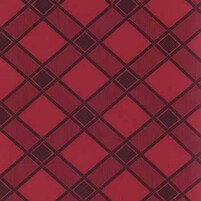 Detailansicht Webstoff FLAVIEN BLACK ON RED