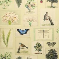 Vliestapete FLORA AND FAUNA PARCHMENT von JOHN DERIAN PJD6001/01