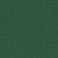 Detailansicht des Stoffes ONORATA, Farbton GREEN (schmale Streifen)