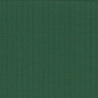 Detailansicht des Stoffes ONORATA, Farbton GREEN (schmale Streifen)