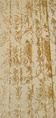 Faltenwurf von VILLA BORGHESE UCELLI als Vorhangstoff am Beispiel von VILLA BORGHESE UCELLI GOLD