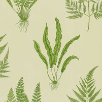 florale Tapete mit dem Motiv von Farnen: WOODLAND FERNS, Farbe GREEN, bei ARTE FRESCA